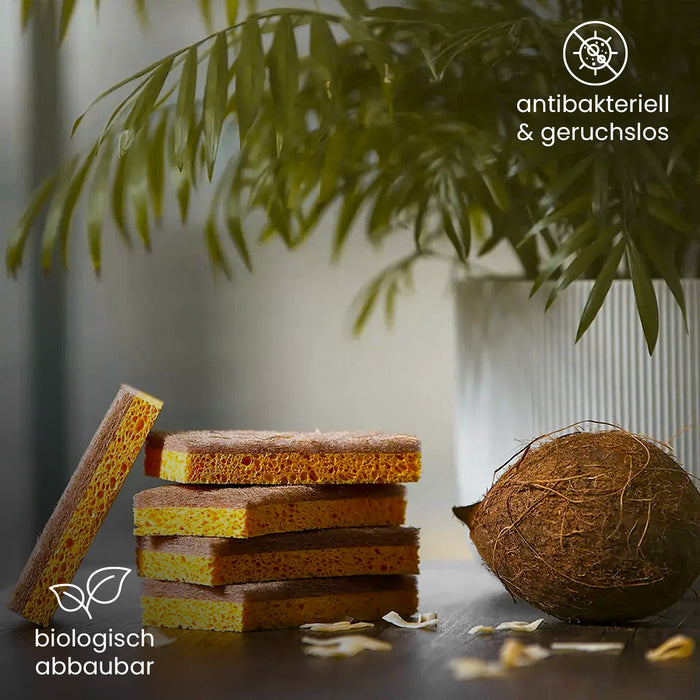 BiOHY Kokosschwämme