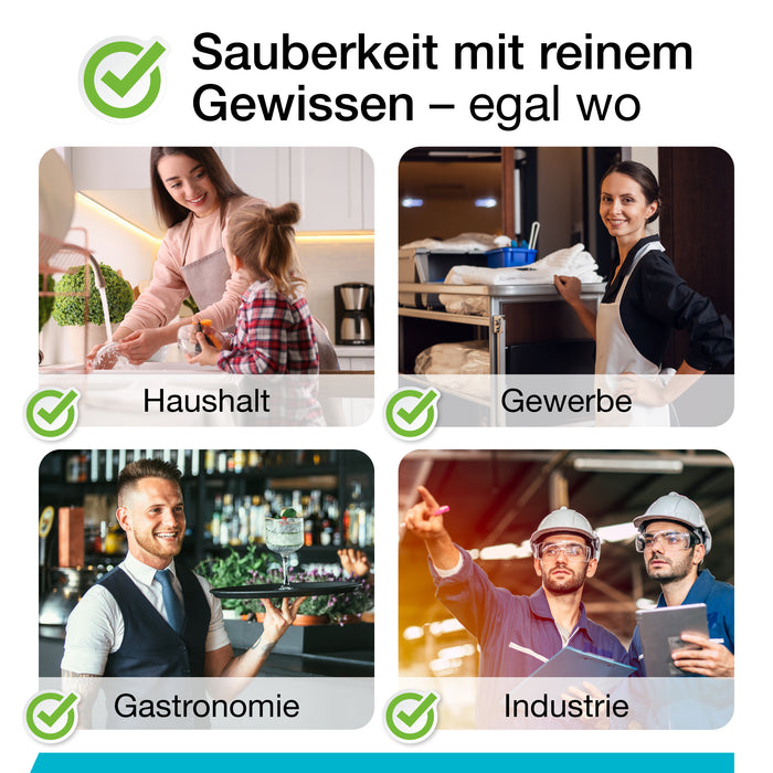 BIOHY Universalreiniger Tabs 12 Stk.